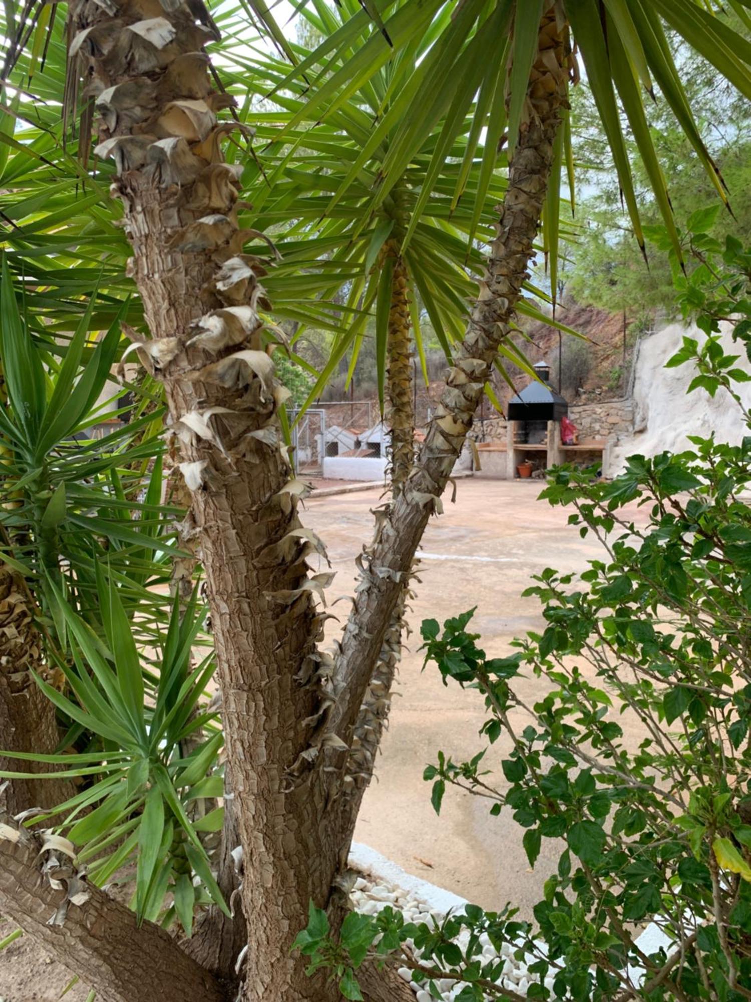 Villa La Casa De La Fuensanta Murcia Esterno foto